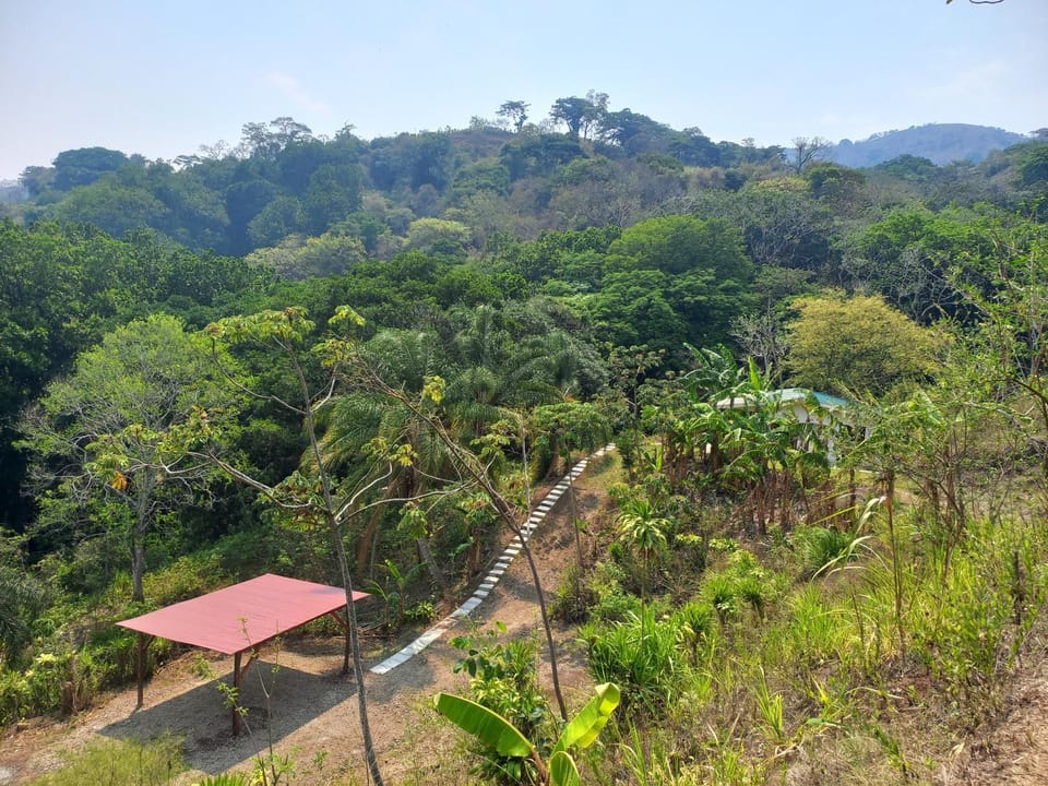 Day, Mountain view