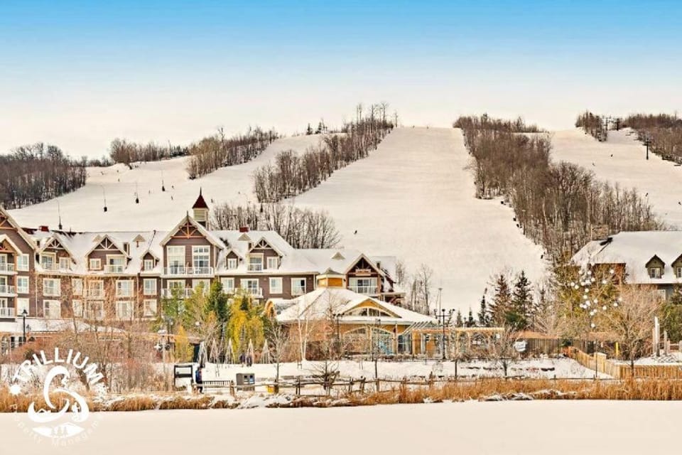 Steps to the Hill 1 Bedroom CraveTV House in Grey Highlands