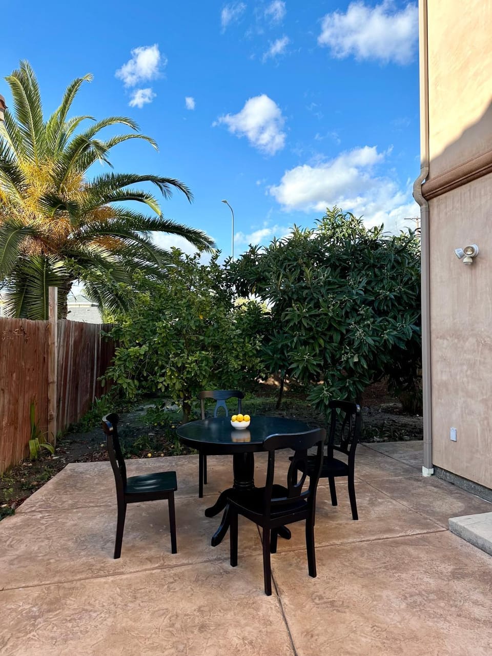 Patio, Day, Balcony/Terrace