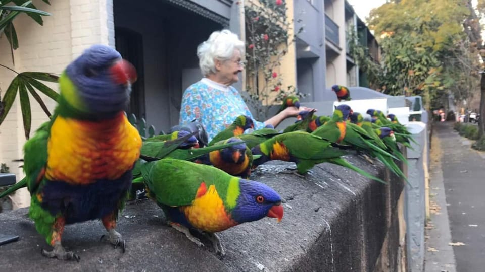 Day, People, Animals