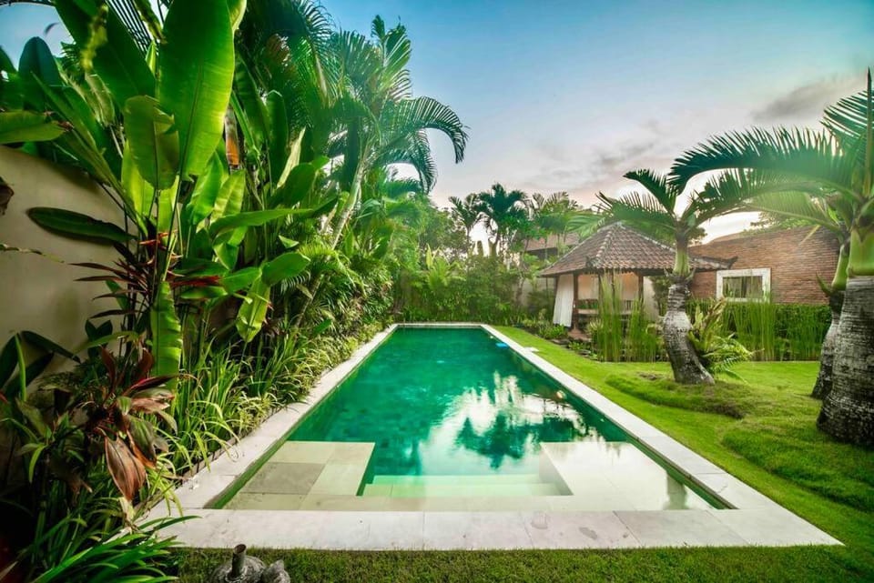 Property building, Day, Garden, Garden view, Pool view, Swimming pool