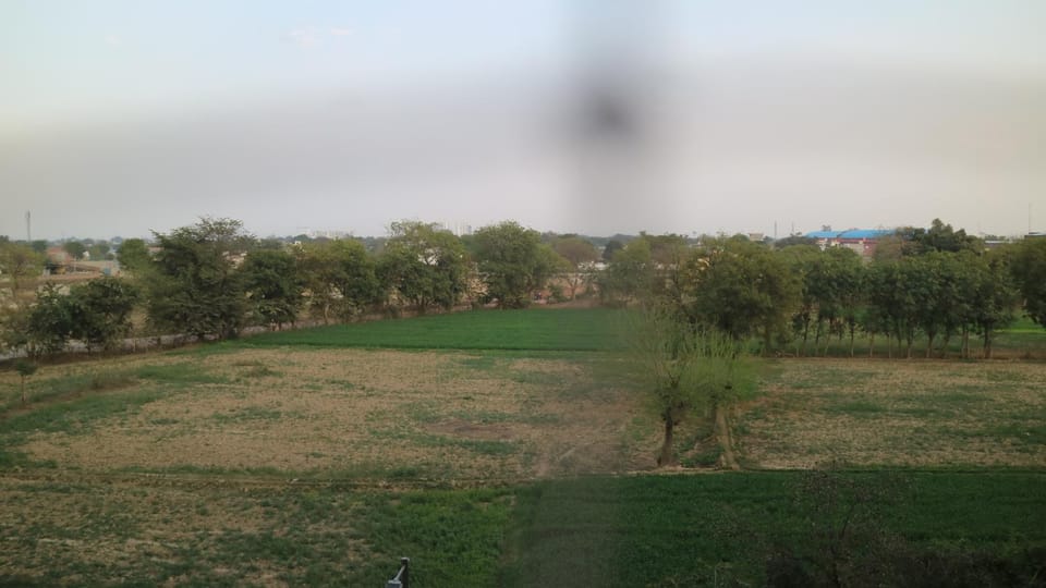 View (from property/room), Garden view