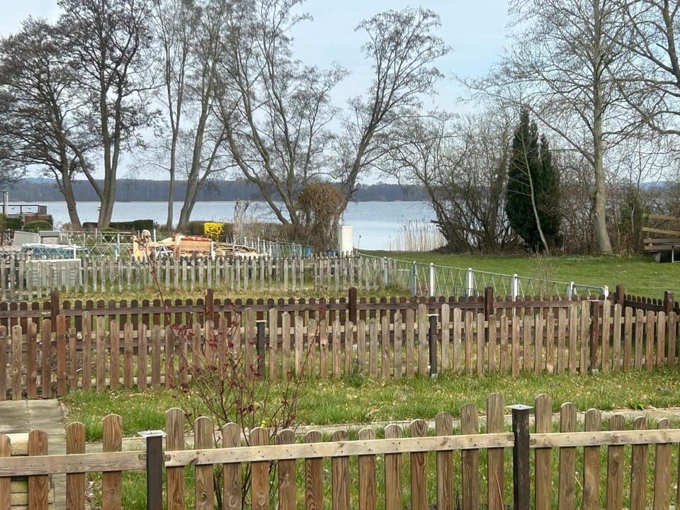 Lake view