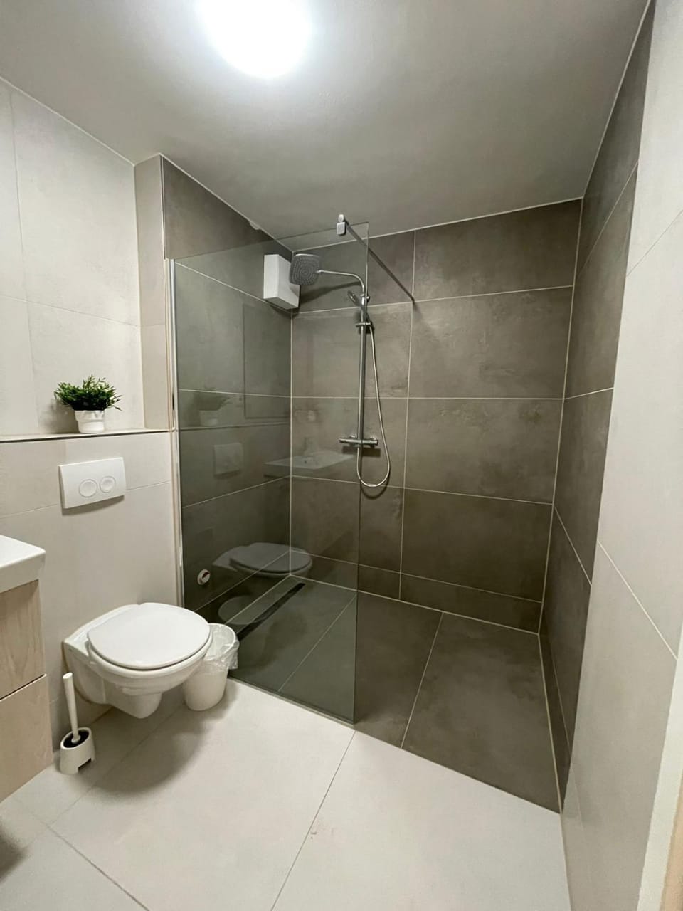 Shower, Toilet