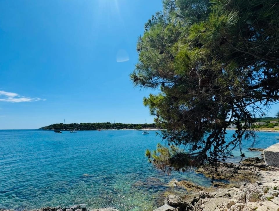 Belview - Beachfront apartments Apartment in Pula