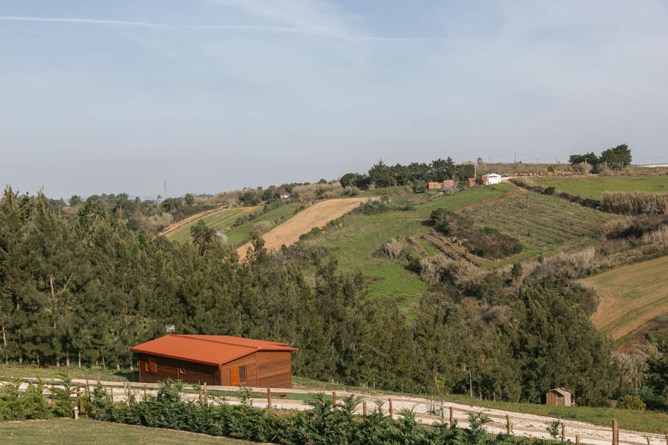 Day, Natural landscape, Mountain view