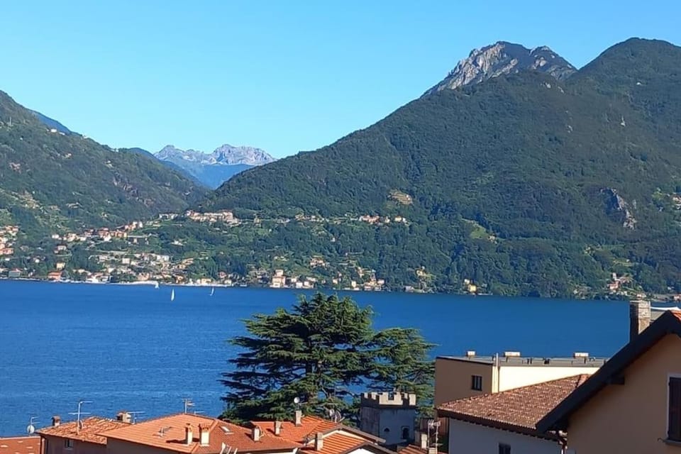 Lake view