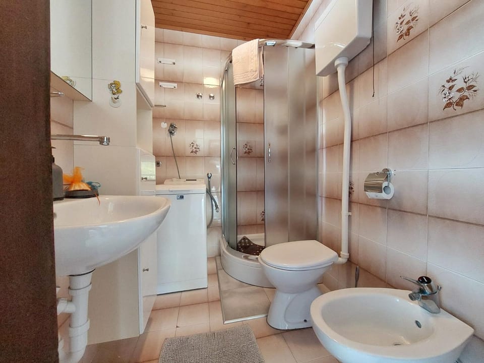 Shower, Bathroom, bidet, towels, washing machine