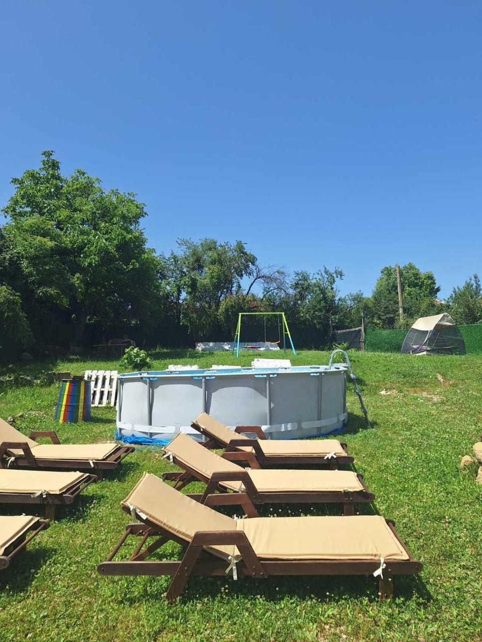 Garden, Swimming pool, sunbed
