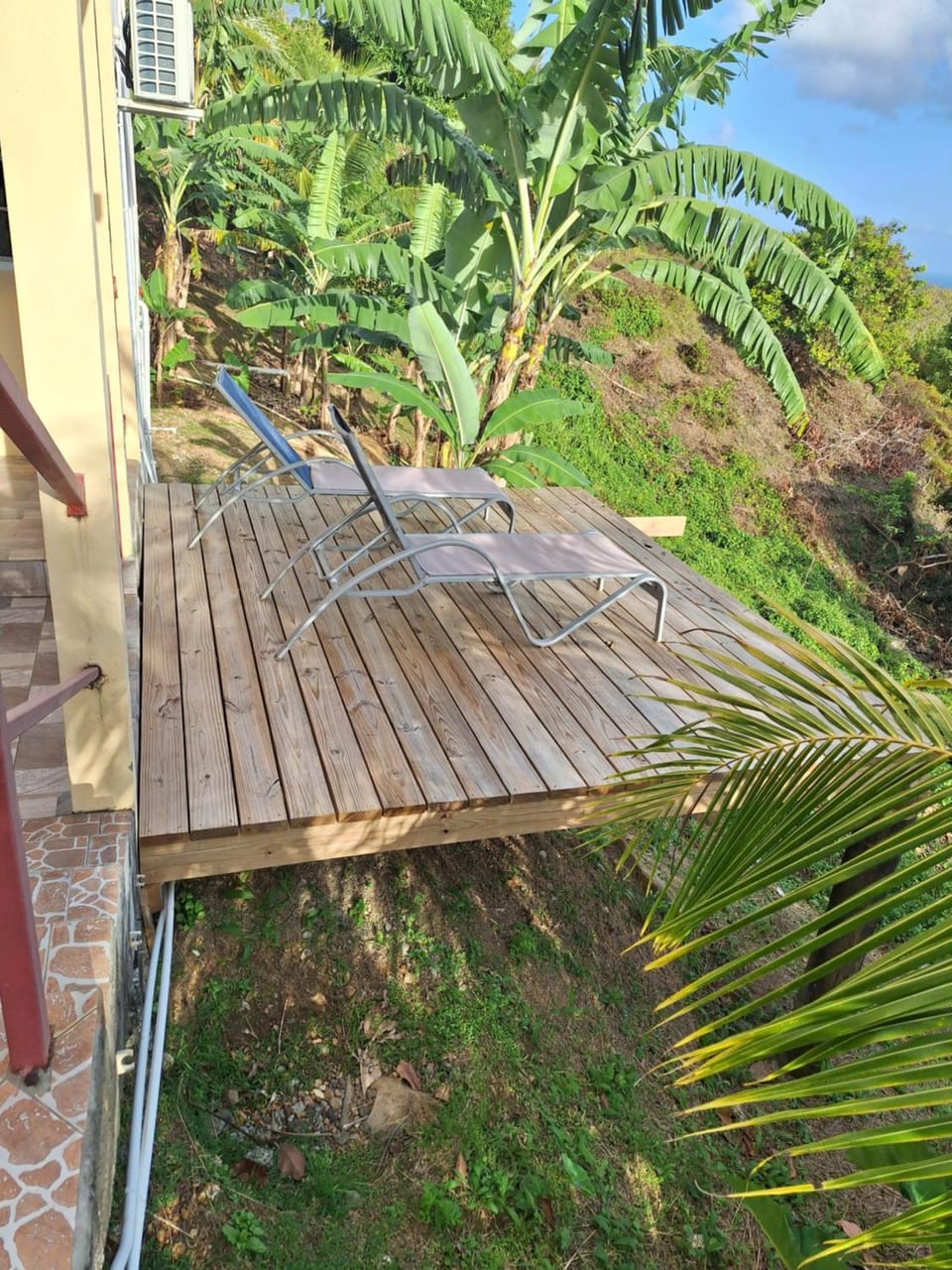 Garden, Garden view, Sea view, sunbed