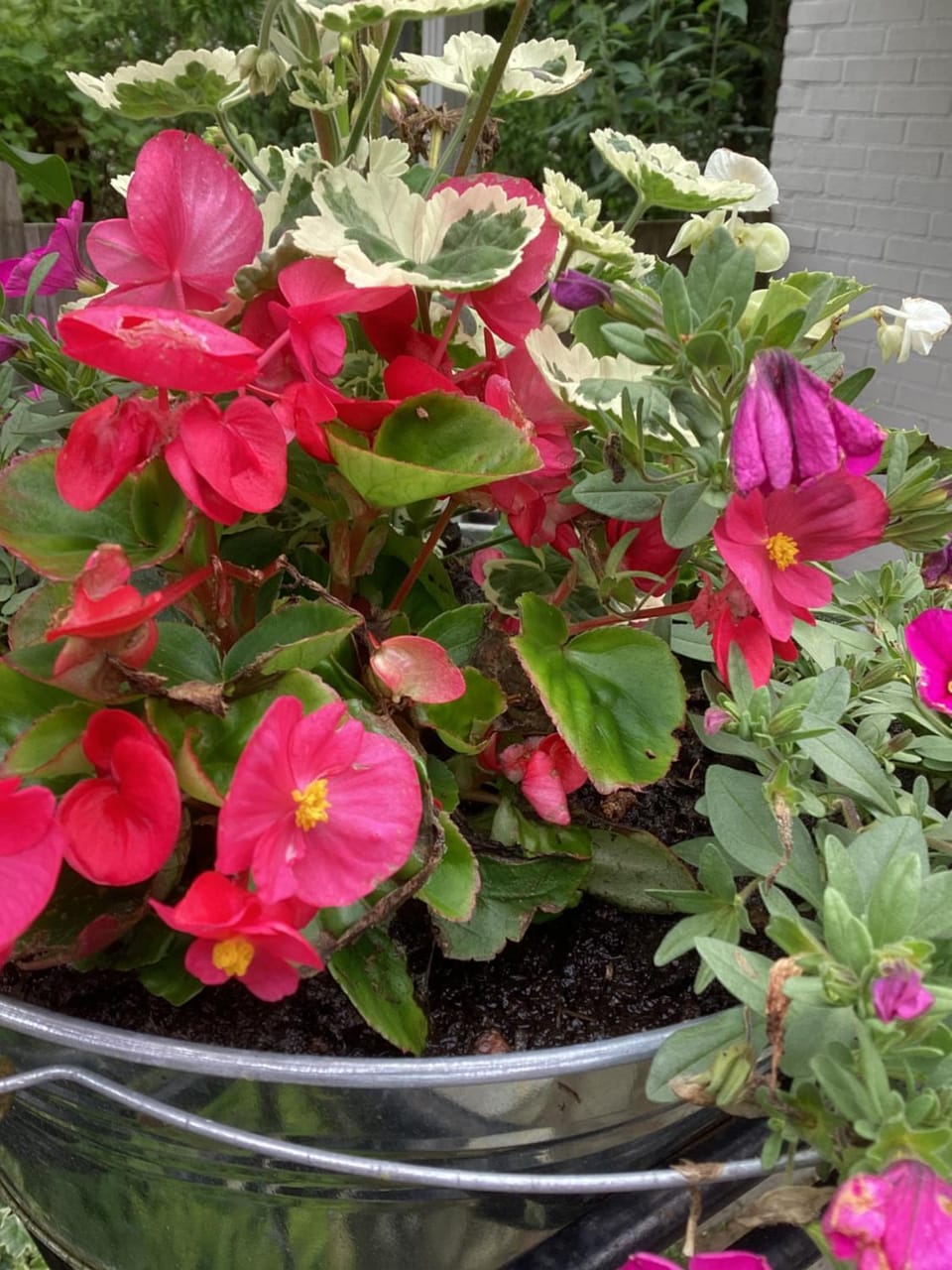 Waltrilo Bed and Breakfast in North Brabant (province)