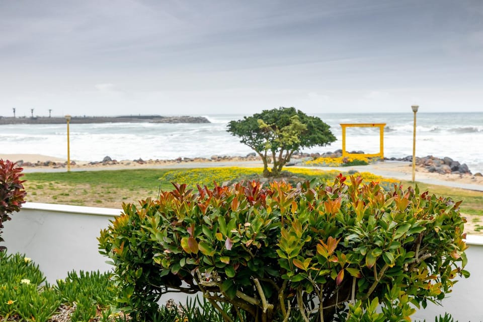 Nearby landmark, Natural landscape, Beach, Sea view