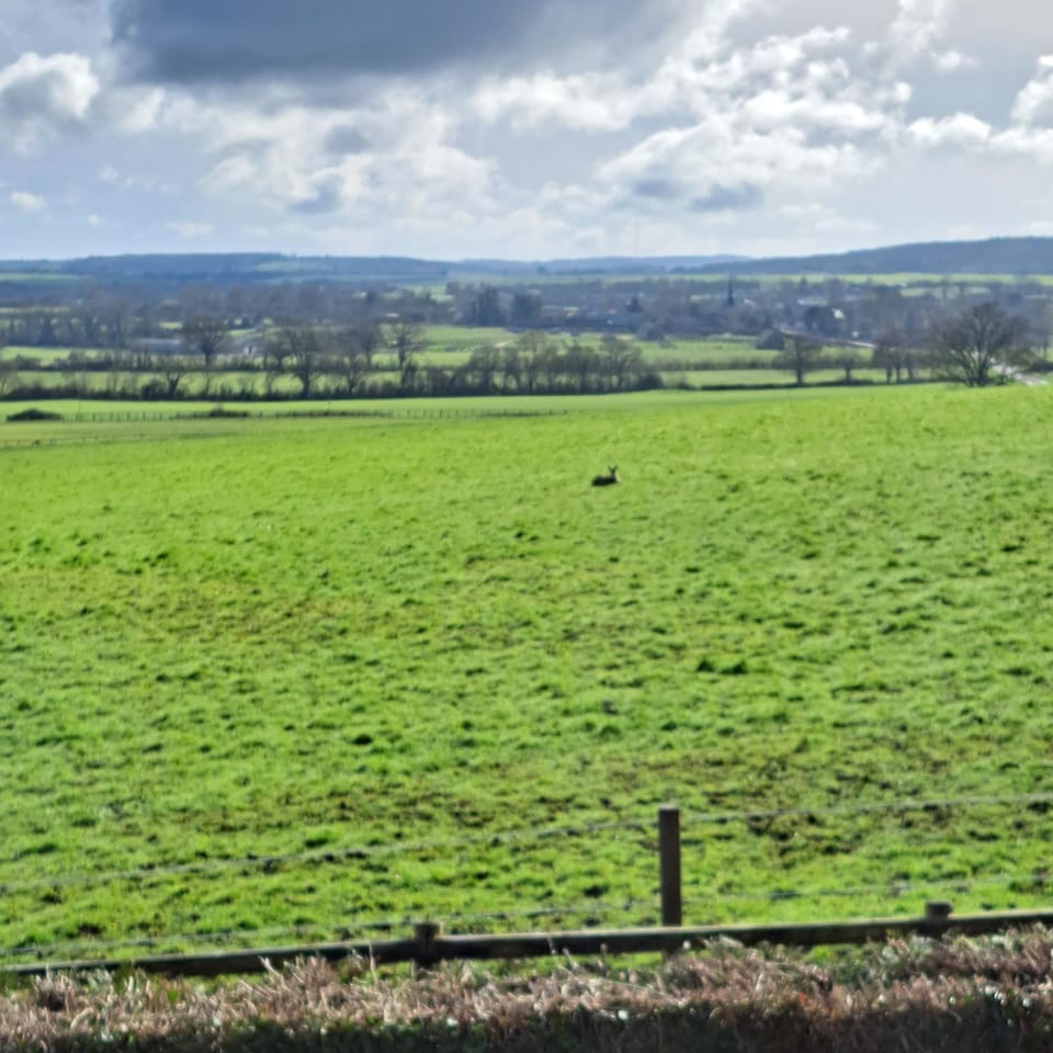 Spring, Natural landscape
