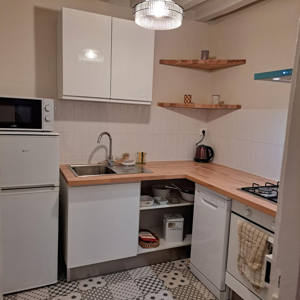 Kitchen or kitchenette, dishwasher, minibar, pet friendly, stove