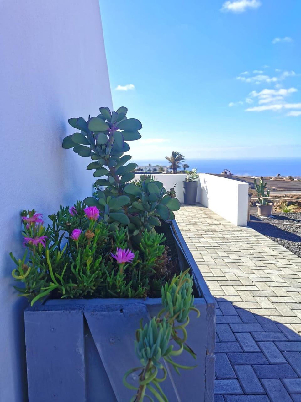 Natural landscape, View (from property/room), Balcony/Terrace, Garden view
