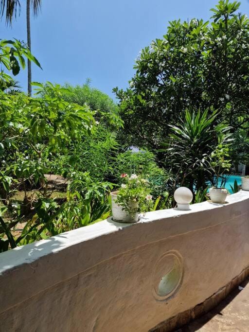 Garden, Garden view, Pool view
