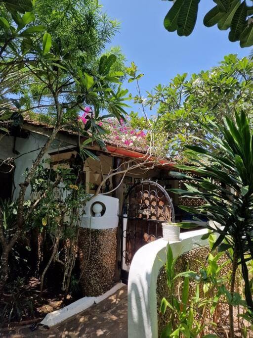 Property building, Garden