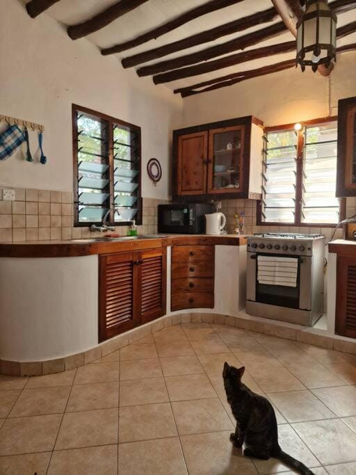 Kitchen or kitchenette, Pets, minibar, pet friendly, stove
