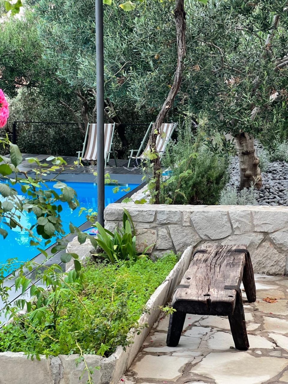 Day, Garden, Garden view, Pool view, Swimming pool