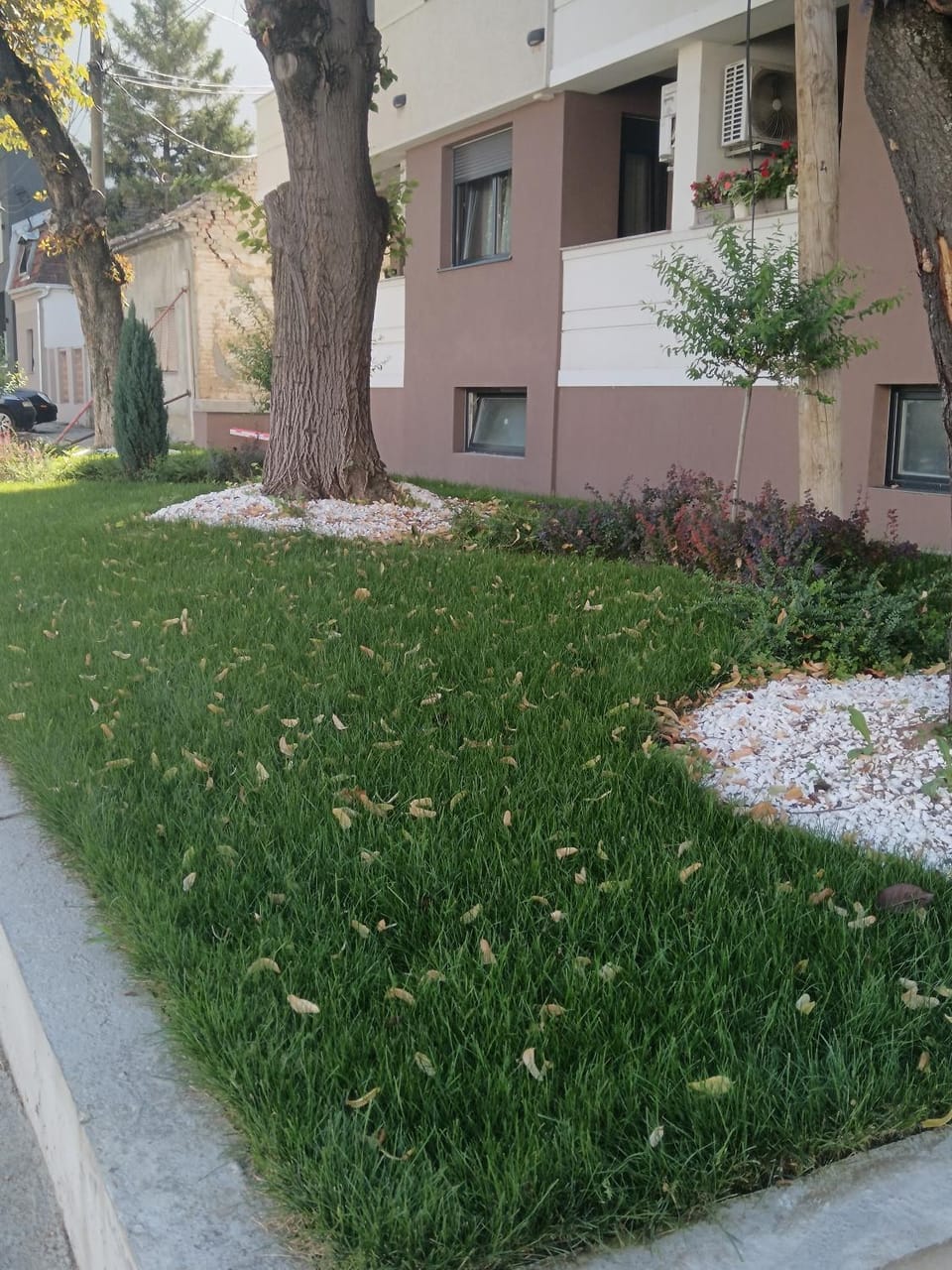 Zemun residence Apartment in Belgrade