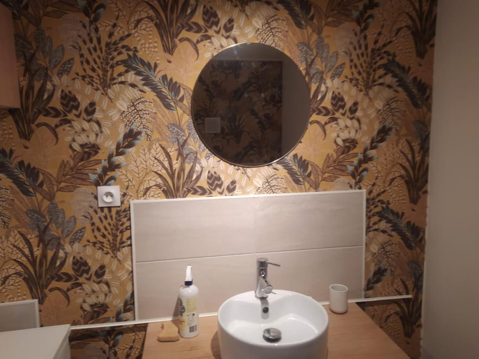 chambre avec SDB privative Vacation rental in Grand Est