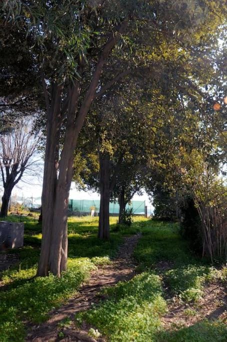 Villa Sole e Mare Villa in Quartu Sant'Elena