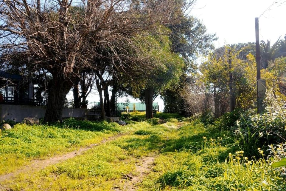 Villa Sole e Mare Villa in Quartu Sant'Elena