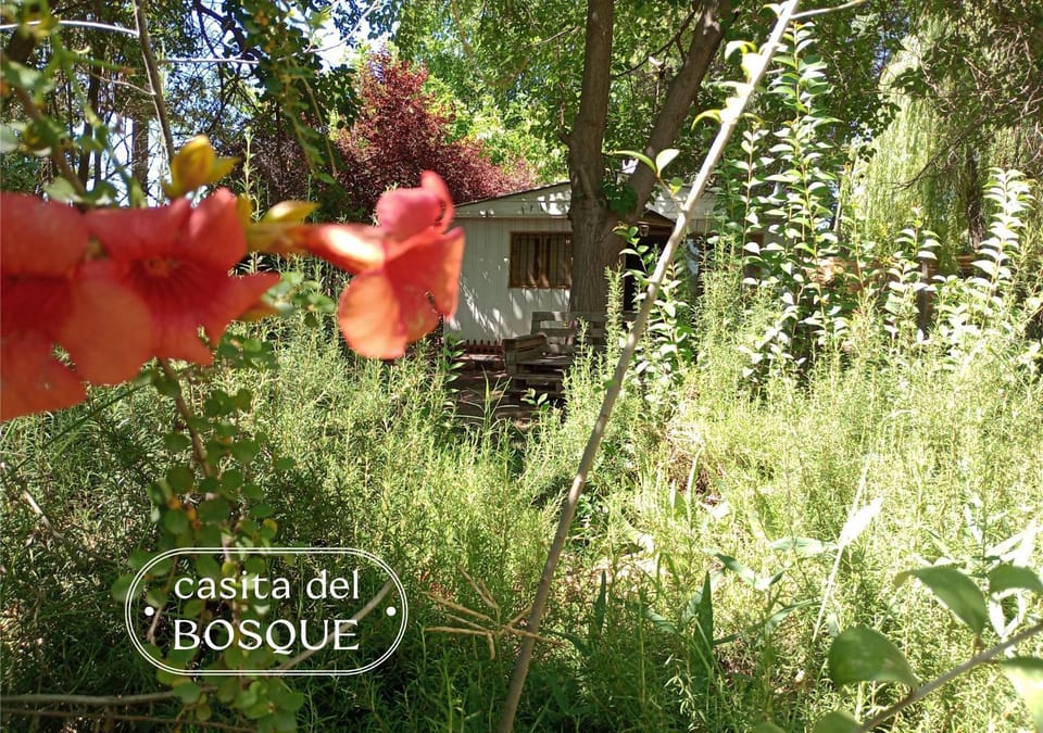 Casita del Bosque House in Luján de Cuyo