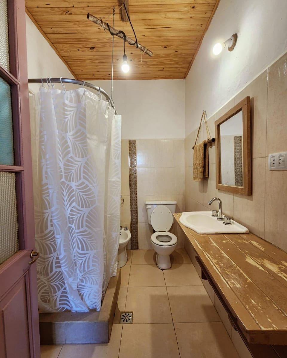 Shower, Toilet, Bathroom, bidet