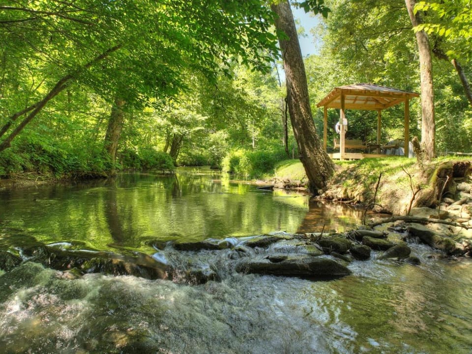 Cozy Creekside Cabin Cabin in Georgia