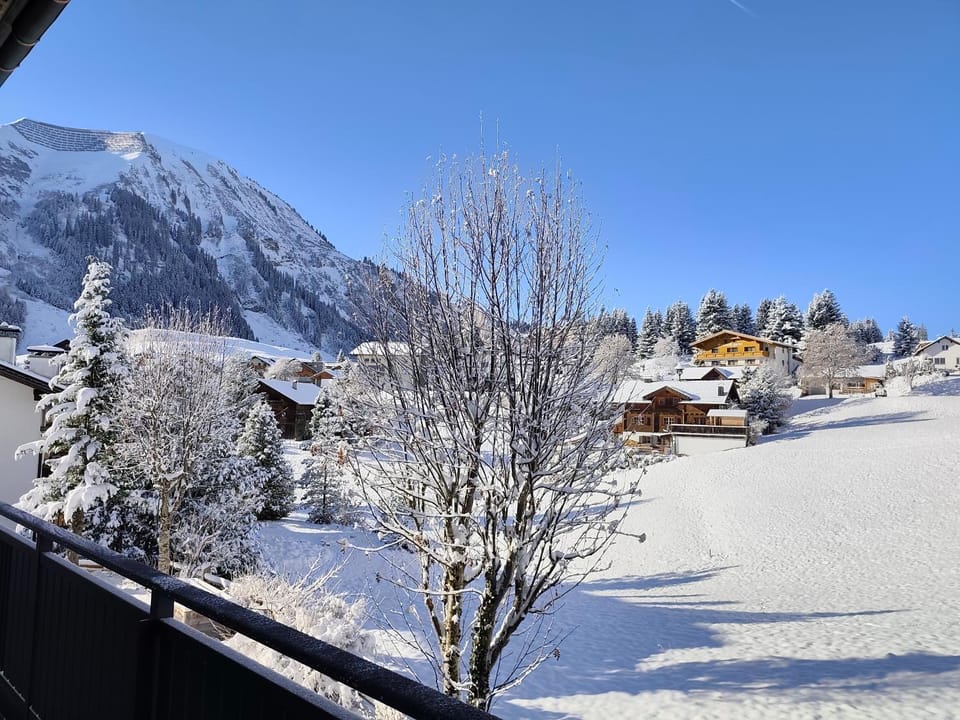 View (from property/room)