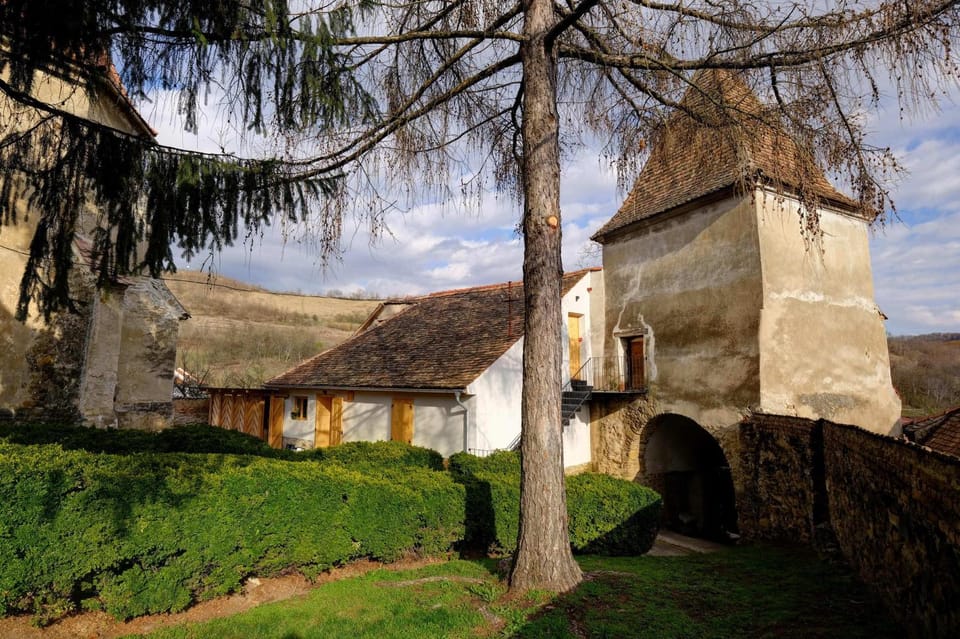 Property building, Garden, Garden view