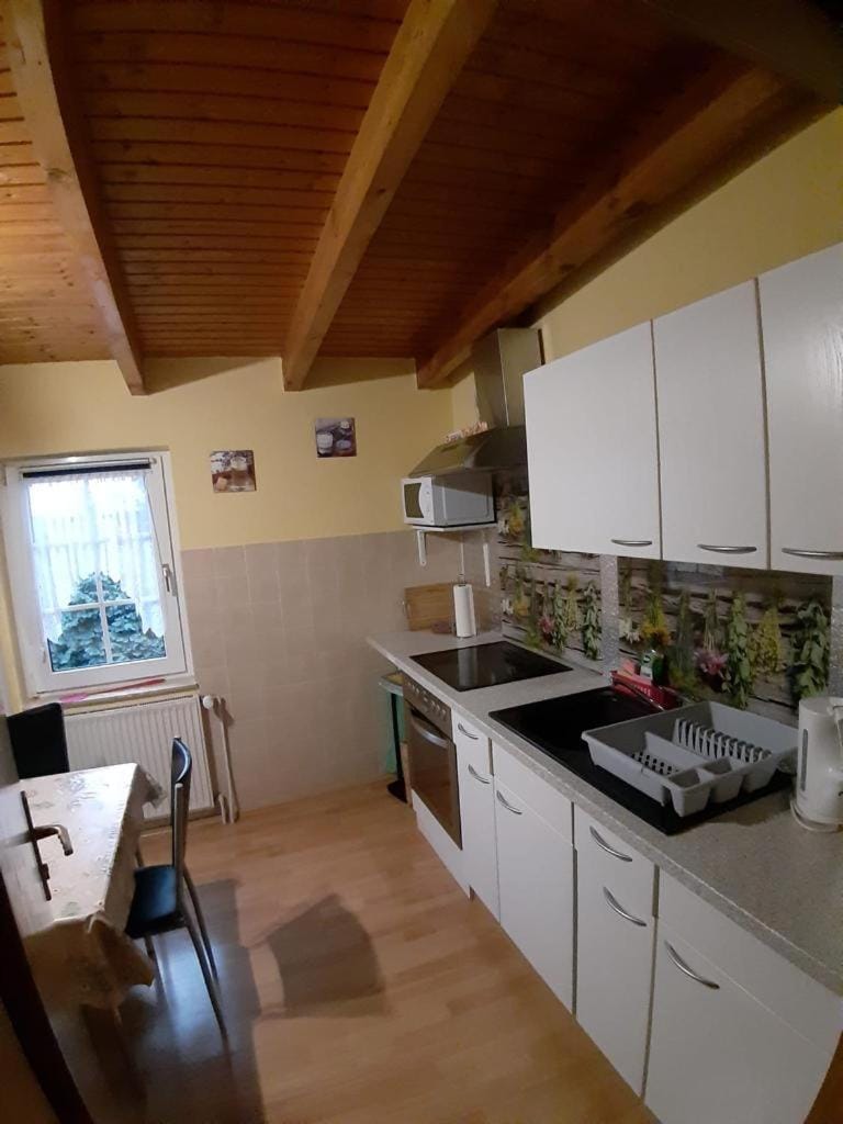 Kitchen or kitchenette, Dining area, oven, stove