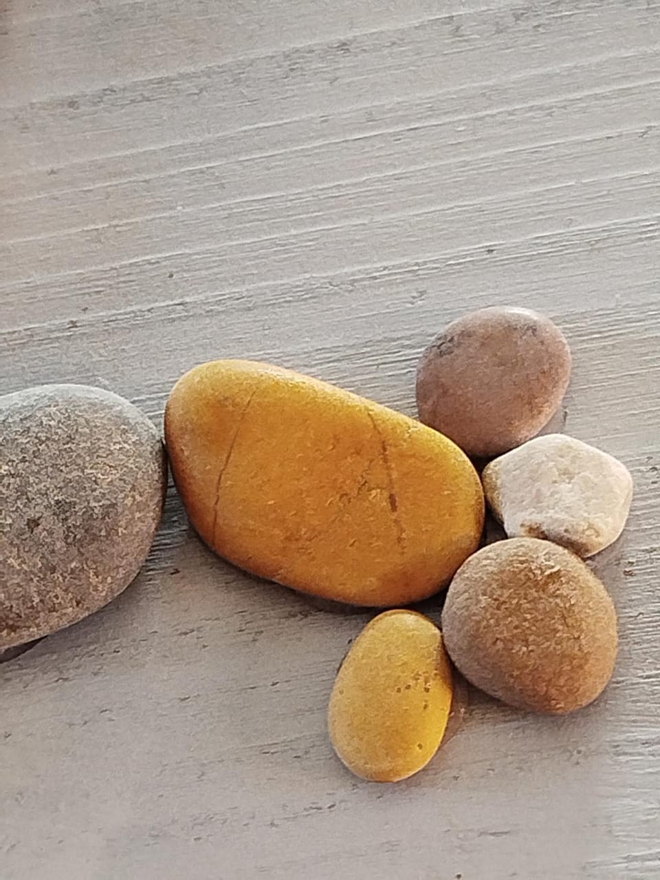 Property logo or sign, Property logo or sign