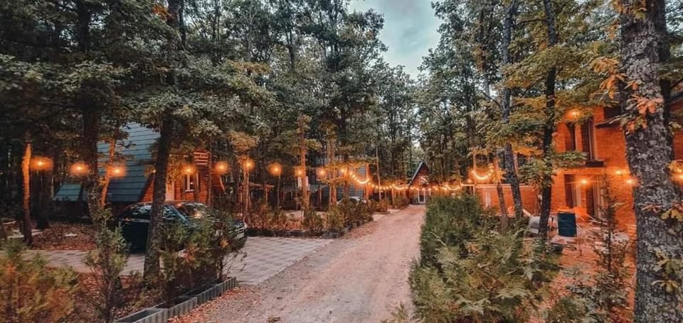 Spring, Neighbourhood, Natural landscape, Garden view, Street view