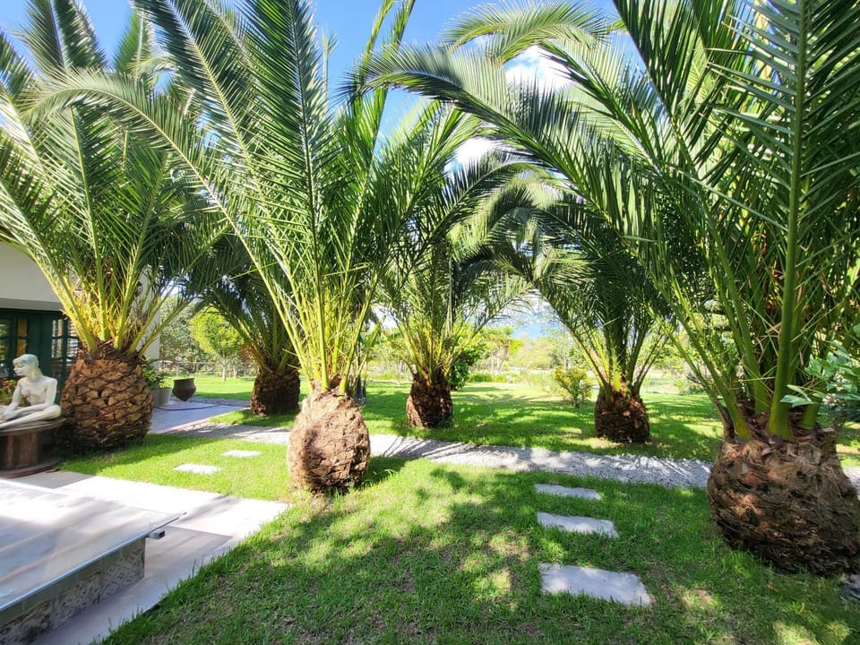 Garden, Garden view