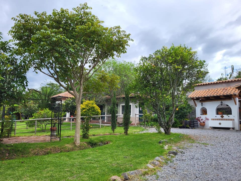 Garden, Garden view
