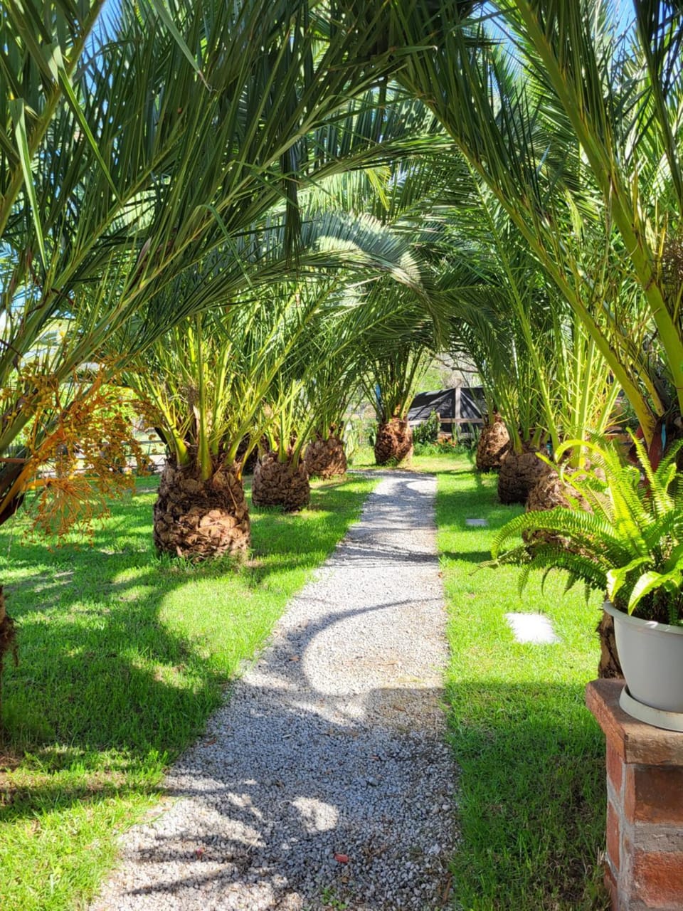 Garden, Garden view