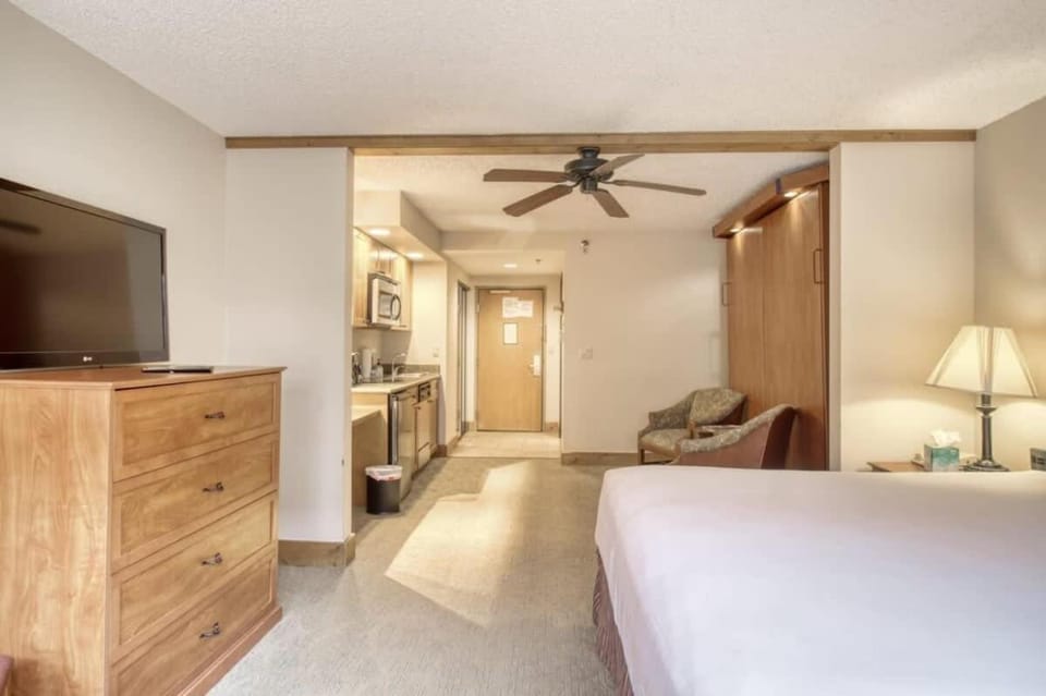 Bed, TV and multimedia, Kitchen or kitchenette, Seating area, Bedroom
