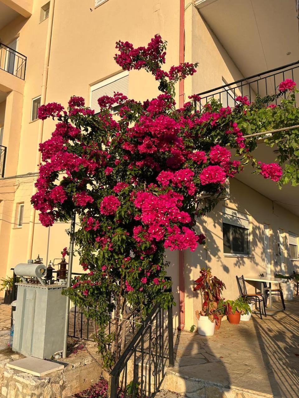 Guesthouse Mateo Bed and Breakfast in Dhërmi