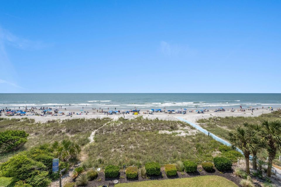 Beach Club II 3A - Oceanfront - Windy Hill Section House in North Myrtle Beach