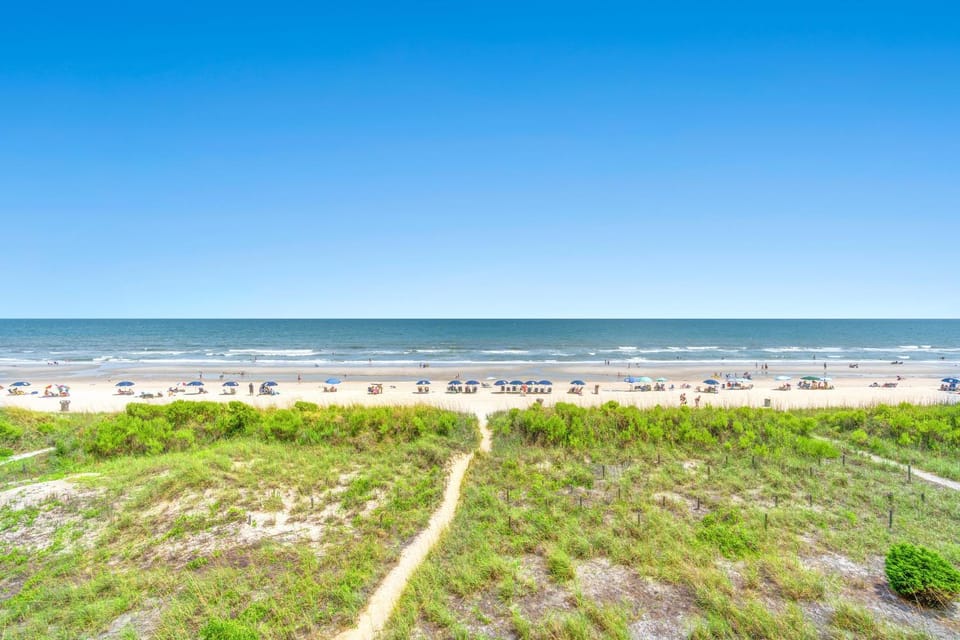 Ocean Towers Beach Club 401 - Oceanfront - Windy Hill Section House in North Myrtle Beach