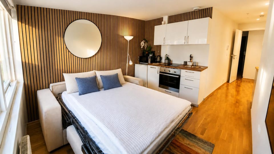 Quiet Top-Floor Studio in Central Oslo Apartment in Oslo