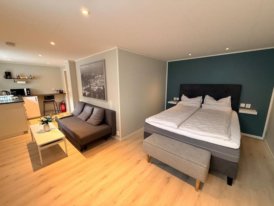 Bed, Kitchen or kitchenette, Living room, Photo of the whole room, Seating area, Bedroom