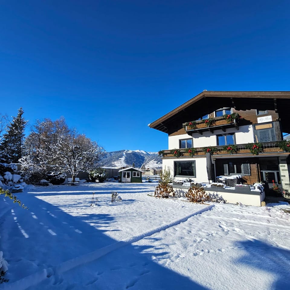 Property building, Winter