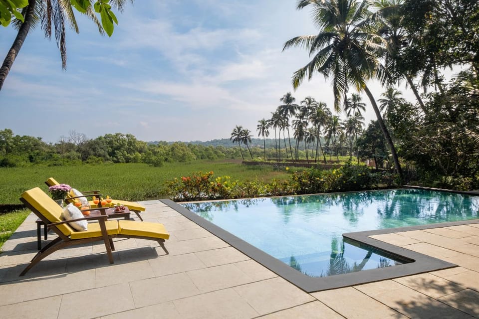 Patio, Spring, Day, Natural landscape, Garden, Garden view, Pool view, Swimming pool, sunbed