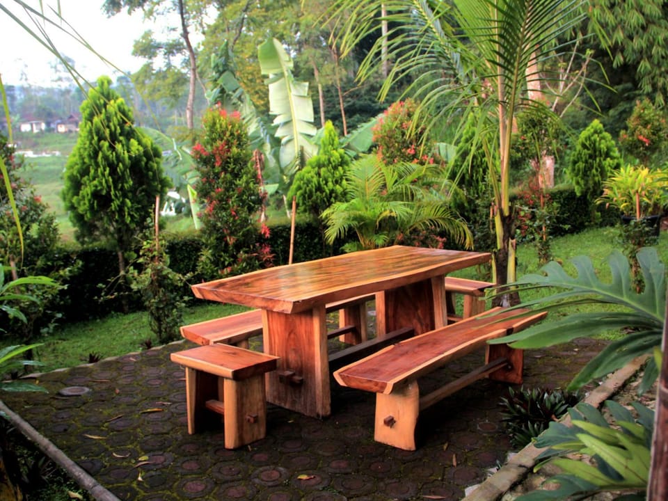 Area and facilities