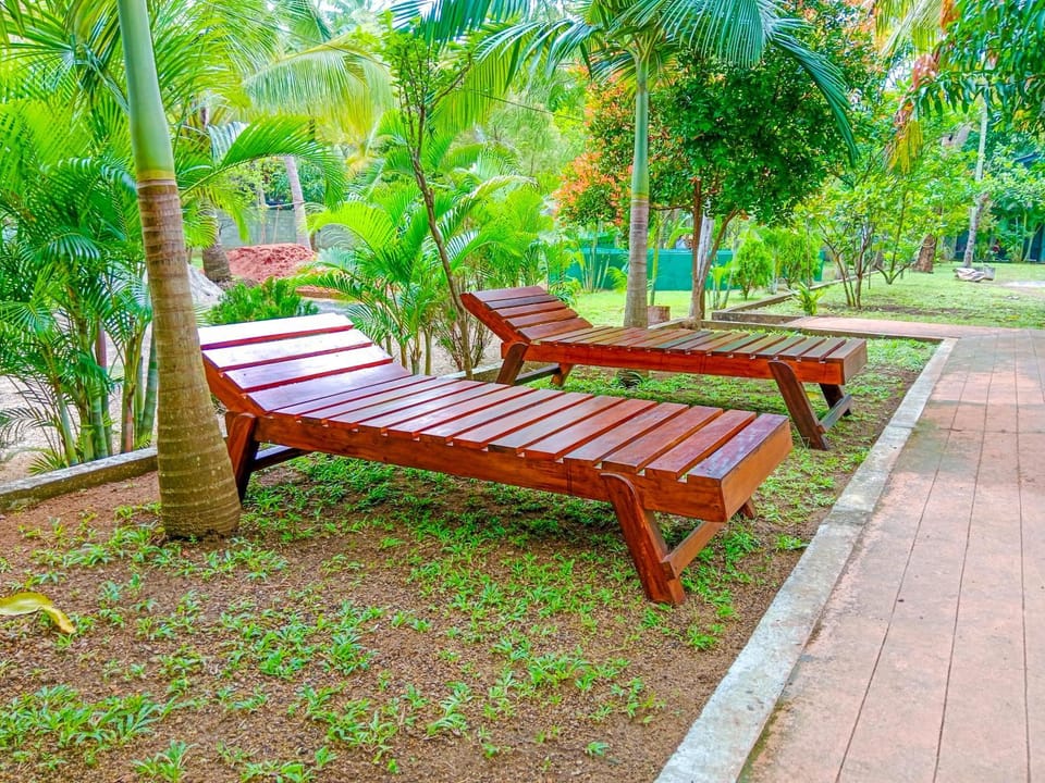 Spring, Day, Natural landscape, Garden, Garden view