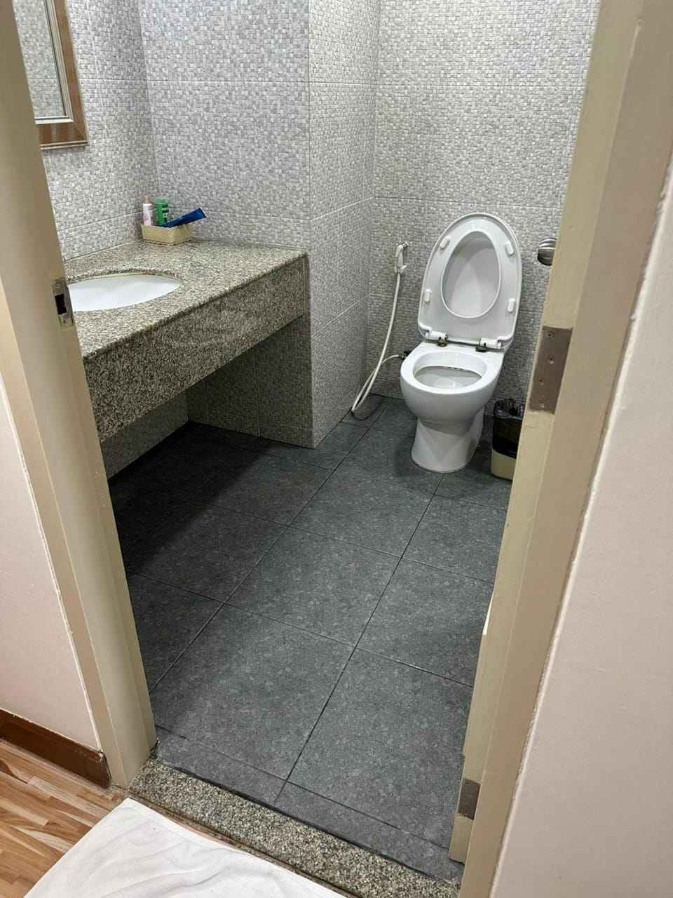 Toilet