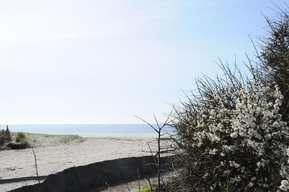 Entre ciel et mer - La maison de la pointe House in Trégunc